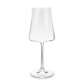 Muze red wine glass